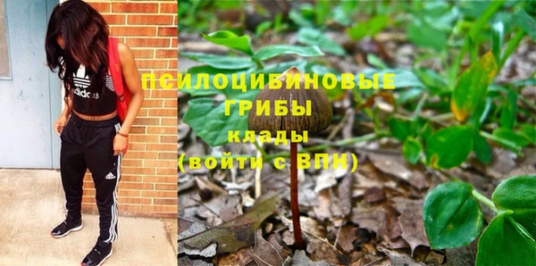 дмт Белоозёрский