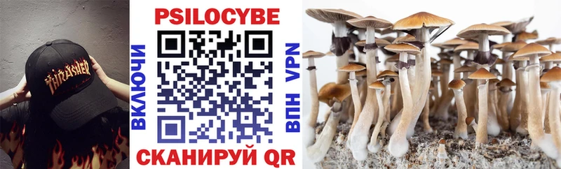 Псилоцибиновые грибы Psilocybine cubensis  Йошкар-Ола 