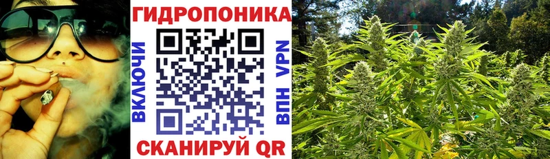купить   Йошкар-Ола  Шишки марихуана Bruce Banner 
